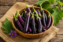 Load image into Gallery viewer, Eggplant Indian Purple Long