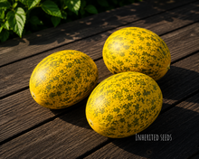 Load image into Gallery viewer, Striped Dosakai Seeds β Andhra Cucumber / Sambar Dosakaya