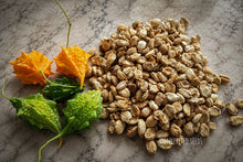 Load image into Gallery viewer, Indian Mini Bitter Gourd Seeds (Karela) – Heirloom Mini Bitter Melon, Momordica charantia