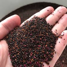 Load image into Gallery viewer, Amaranth Indian Red Stem / Red Thandu keerai