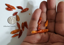 Load image into Gallery viewer, Chilli Kanthari / Indian Birdseye