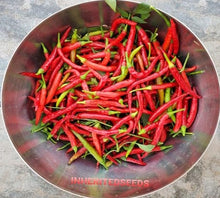 Load image into Gallery viewer, Chilli Guntur Sannam