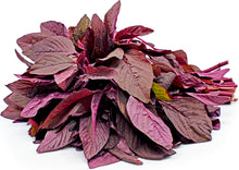 Load image into Gallery viewer, Amaranth Red Stem/ Red Thandu Keerai / Totakoora