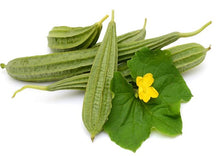 Load image into Gallery viewer, Indian Heirloom Ridge Gourd Seeds – Luffa / Turai
