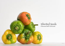 Load image into Gallery viewer, Bell Pepper Golden Yellow Premium
