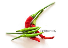 Load image into Gallery viewer, Chilli Thai Dragon