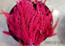 Load image into Gallery viewer, Green Powerhouse Collection Value Pack (21 Varieties)