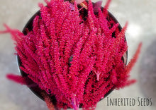 Load image into Gallery viewer, Amaranth Red Stem/ Red Thandu Keerai / Totakoora