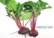 Load image into Gallery viewer, Beets Detroit Dark Red Premium