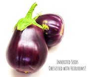 Load image into Gallery viewer, Eggplant Black Beauty