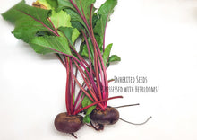 Load image into Gallery viewer, Beets Early Wonder Tall Top