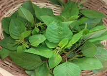 Load image into Gallery viewer, Amaranth Green Stem / Thandu Keerai / Totakoora
