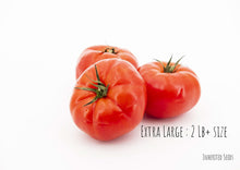 Load image into Gallery viewer, Tomato Classic Beefsteak