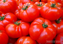 Load image into Gallery viewer, Tomato Collection Value Pack (10 Varieties)