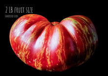 Load image into Gallery viewer, Tomato Beefsteak Rainbow
