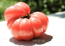 Load image into Gallery viewer, Tomato Amish Beefsteak Pink
