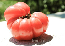 Load image into Gallery viewer, Tomato Amish Beefsteak Pink