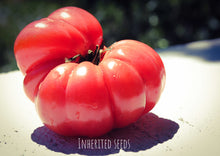 Load image into Gallery viewer, Tomato Classic Beefsteak