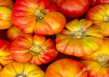 Load image into Gallery viewer, Tomato Beefsteak Rainbow