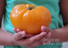 Load image into Gallery viewer, Tomato Collection Value Pack (10 Varieties)