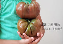 Load image into Gallery viewer, Tomato Black Krim Premium Large
