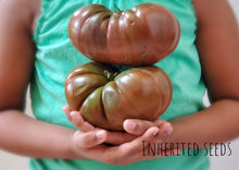 Load image into Gallery viewer, Tomato Black Krim Premium Large