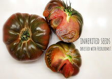 Load image into Gallery viewer, Tomato Black Krim Premium Large