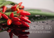 Load image into Gallery viewer, Chilli Tabasco Hot