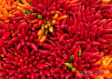 Load image into Gallery viewer, Chilli Tabasco Hot