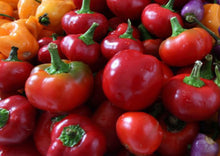 Load image into Gallery viewer, Cherry Bomb Hot Chilli Pepper