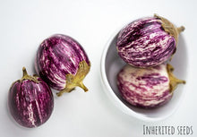 Load image into Gallery viewer, “Udumalaipet eggplant plant with deep purple fruits – high-yield heirloom”