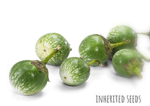 Load image into Gallery viewer, Eggplant Petch Siam (Nellore Brinjal)