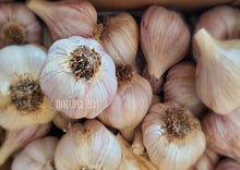 Load image into Gallery viewer, Music Hardneck Garlic