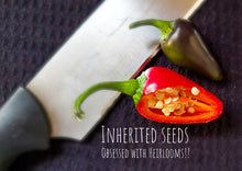 Load image into Gallery viewer, Chilli Black Hungarian Premium