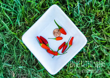 Load image into Gallery viewer, Chilli Vietnamese Birdseye