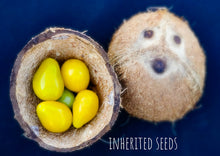 Load image into Gallery viewer, Tomato Yellow Pear