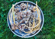 Load image into Gallery viewer, Egyptian Walking Onions - Topsets