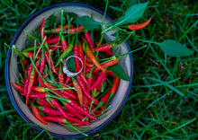 Load image into Gallery viewer, Chilli Peri Peri