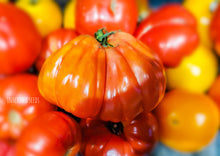 Load image into Gallery viewer, Tomato Italian Cuore Di Bue / Ox Heart

