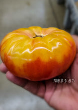 Load image into Gallery viewer, Tomato Beefsteak Rainbow