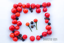 Load image into Gallery viewer, Chilli Wild Chiltepin Hot Pepper