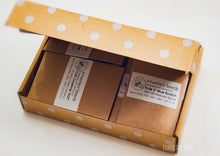 Load image into Gallery viewer, Inherited Seeds Heirloom Survival Kit (42 Varieties)