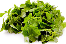 Load image into Gallery viewer, Amaranth Tropical / Siru Keerai