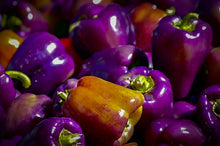 Load image into Gallery viewer,  "Freshly harvested Heirloom Purple Beauty Bell Peppers in a basket, ready for cooking or storage."