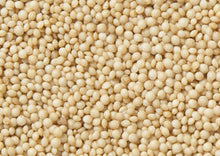 Load image into Gallery viewer, Amaranth Green Stem / Thandu Keerai / Totakoora