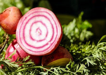 Load image into Gallery viewer, Beets Chioggio Premium