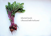 Load image into Gallery viewer, Beets Chioggio Premium