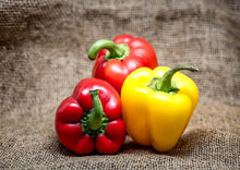 Load image into Gallery viewer, Bell Pepper Golden Yellow Premium
