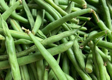 Load image into Gallery viewer, Beans Black Valentine Bush