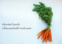 Load image into Gallery viewer, Carrot Danvers Premium